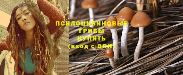 твердый Алексин
