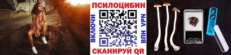 Псилоцибиновые грибы ЛСД Старая Купавна